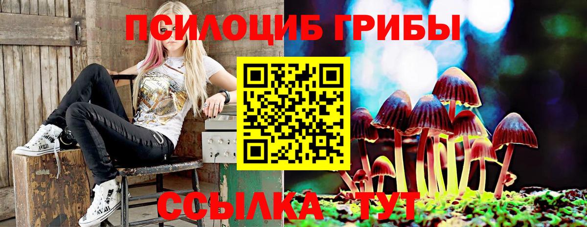 Галлюциногенные грибы Cubensis Асбест